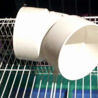 PVC Pipe or Rabbit Tunnel